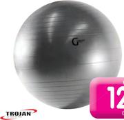 Trojan 75cm Burst Resistant Body Ball