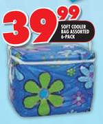 Soft Cooler Bag Assorted-6 Pack