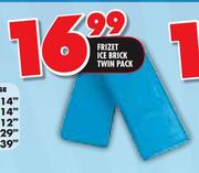 Frizet Ice Brick Twin Pack