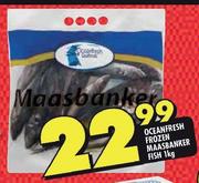 Oceanfresh Frozen Maasbanker Fish-1kg