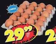 Large Eggs-24's 