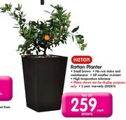 Keter Rattan Planter-Each