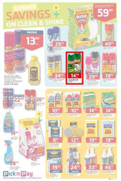 Pick N Pay : Summer Savings On Spring Cleaning (23 Sep - 6 Oct 2013), page 3