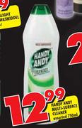 Handy Andy Multi-Surface Cleaner-750ml