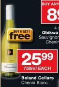 Boland Cellars Chenin Blanc-750ml