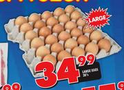 Large Eggs-30's