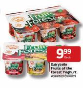 DairyBelle Fruits of The Forest Yoghurt-6x100ml Each