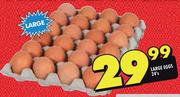 Large Egs-24's