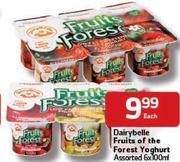 Dairybelle Fruits of The Forest Yoghurt-6x100ml Each