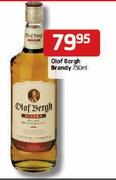 Olof Bergh Brandy -750ml Each