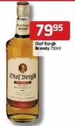 Olof Bergh Brandy - 750ml Each