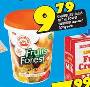 Dairybelle Fruits Of The Forest Yoghurt Assorted-500g Each