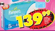 Pampers Active Baby Disposable Nappies Extra Large-40's-Per Pack