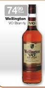 Wellington Vo Brandy - 750ml
