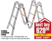 Wonder Aluminium Ladder 