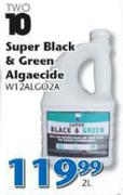 Two 10 Super Black & Green Algaecide(W12ALGO2A)-2L