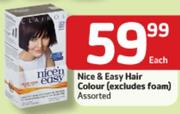 Nice & Easy Hair Colour-Each