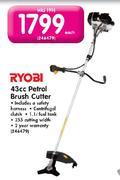 Ryobi 43cc Petrol Brush Cutter-Each