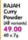 Rajah Curry Powder-40x7G