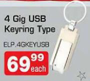 4 Gig USB Keyring Type