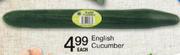 English Cucumber-Each