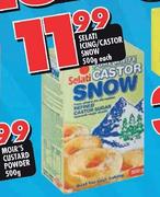 Selati Icing/Castor Snow-500g Each