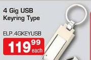 4 Gig USB Keyring Type Each