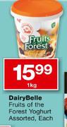 DairyBelle Fruits OF Forest Yoghurt-1kg Each