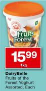 DairyBelle Fruits Of The Forest Yoghurt-1kg