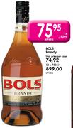 Bols Brandy-12 x 750ml