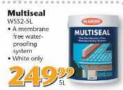 Multiseal WSS2-5L