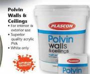 Polvin Walls & Cellings-20L