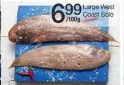 Large West Coast Sole-100g