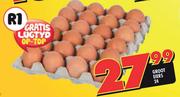 Groot Eiers-24