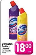 Domestos Sanitary Cleaner (All Variants)-750ml Each