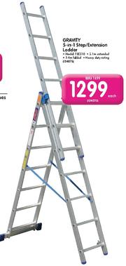 Ladders for hot sale sale makro