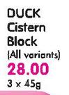 Duck Cistern Block(All Variants)-3x45g