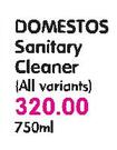 Domestos Sanitary Cleaner(All Variants) 750ml