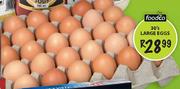 Foodco Large Eggs-30's