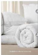 Polycotton Continental Pillows-2's Pack
