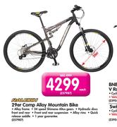 Raleigh 29er Comp Alloy Mountain Bike