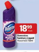 Domestos Sanitary Liquid-750ml Each