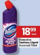 Domestos Sanitary Liquid-750ml Each