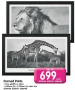 Framed Prints-Each