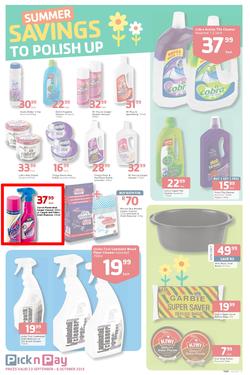 Pick N Pay : Summer Savings On Spring Cleaning (23 Sep - 6 Oct 2013), page 7