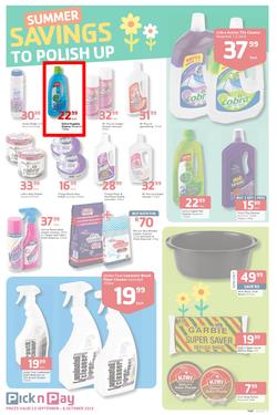 Pick N Pay : Summer Savings On Spring Cleaning (23 Sep - 6 Oct 2013), page 7