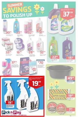 Pick N Pay : Summer Savings On Spring Cleaning (23 Sep - 6 Oct 2013), page 7