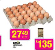 Foodco Large Eggs-30's