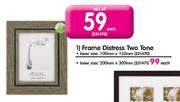 Frame Distress Two Tone-231470 Each