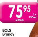 Bols Brandy-750ml